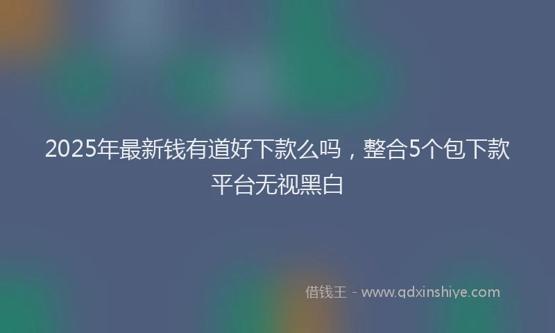 2025年最新钱有道好下款么吗，整合5个包下款平台无视黑白