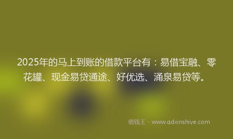 2025年的马上到账的借款平台有：易借宝融、零花罐、现金易贷通途、好优选、涌泉易贷等。