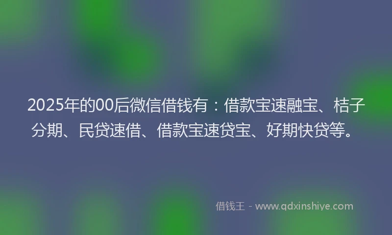 2025年的00后微信借钱有：借款宝速融宝、桔子分期、民贷速借、借款宝速贷宝、好期快贷等。