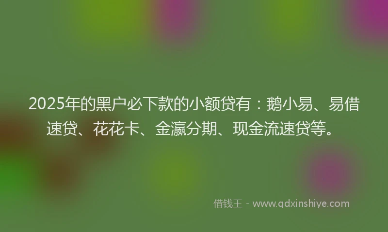 2025年的黑户必下款的小额贷有：鹅小易、易借速贷、花花卡、金瀛分期、现金流速贷等。