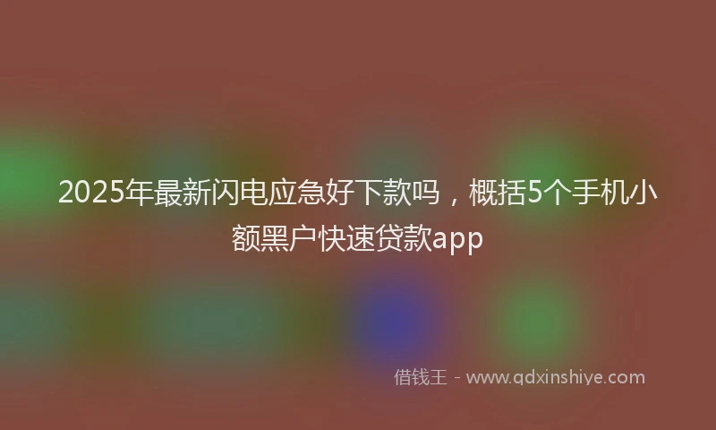 2025年最新闪电应急好下款吗，概括5个手机小额黑户快速贷款app