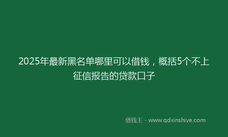 2025年最新黑名单哪里可以借钱，概括5个不上征信报告的贷款口子