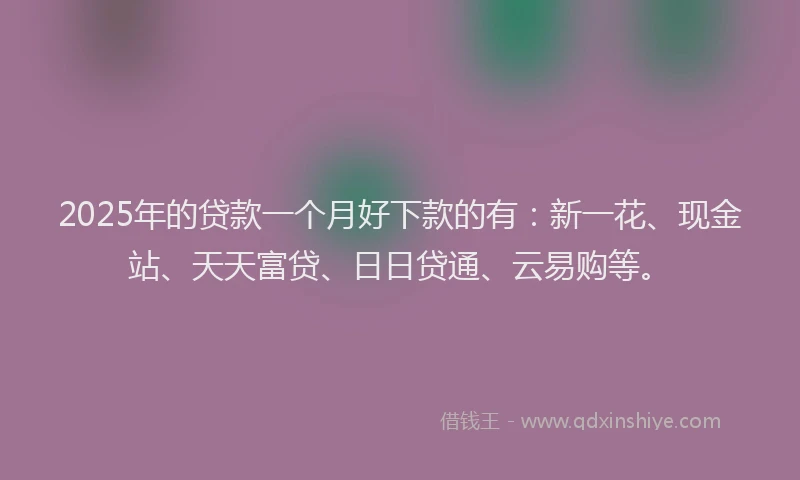 2025年的贷款一个月好下款的有：新一花、现金站、天天富贷、日日贷通、云易购等。