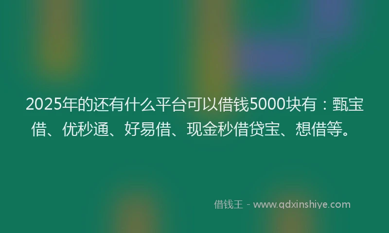 2025年的还有什么平台可以借钱5000块有：甄宝借、优秒通、好易借、现金秒借贷宝、想借等。