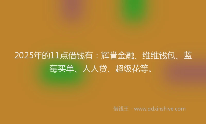 2025年的11点借钱有：辉誉金融、维维钱包、蓝莓买单、人人贷、超级花等。