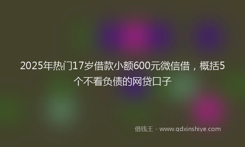 2025年热门17岁借款小额600元微信借，概括5个不看负债的网贷口子