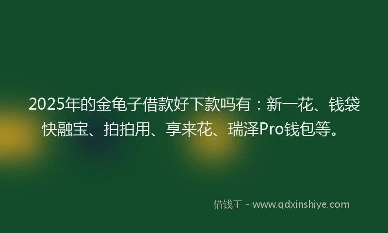 2025年的金龟子借款好下款吗有：新一花、钱袋快融宝、拍拍用、享来花、瑞泽Pro钱包等。