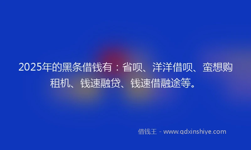 2025年的黑条借钱有：省呗、洋洋借呗、蛮想购租机、钱速融贷、钱速借融途等。