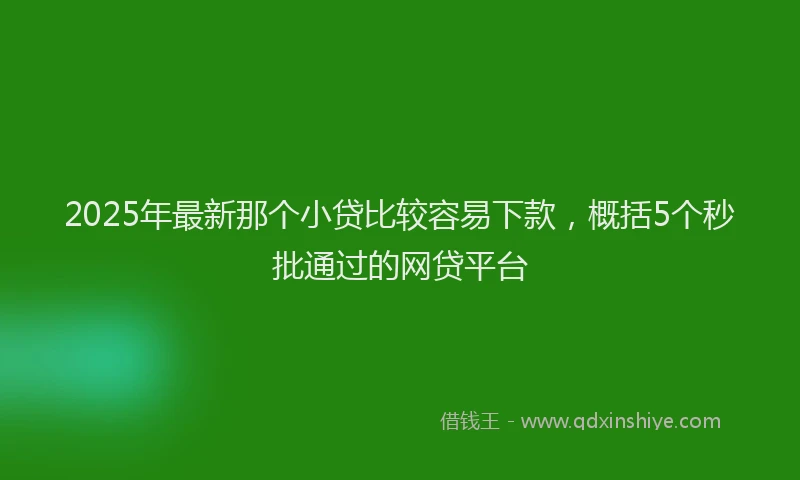 2025年最新那个小贷比较容易下款，概括5个秒批通过的网贷平台