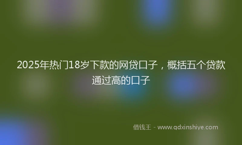 2025年热门18岁下款的网贷口子，概括五个贷款通过高的口子