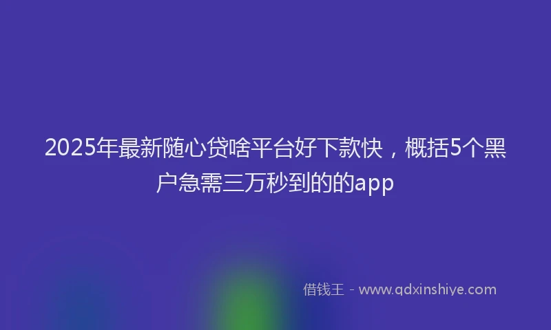 2025年最新随心贷啥平台好下款快，概括5个黑户急需三万秒到的的app