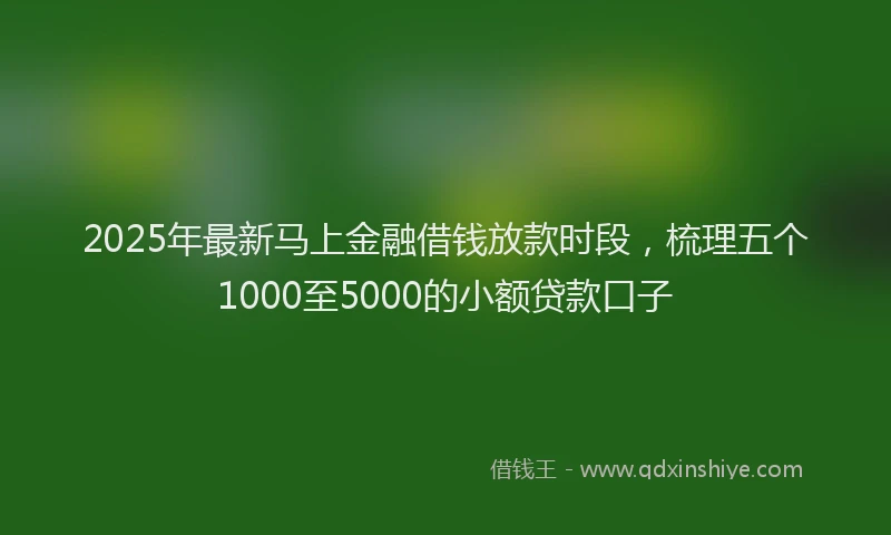 2025年最新马上金融借钱放款时段，梳理五个1000至5000的小额贷款口子