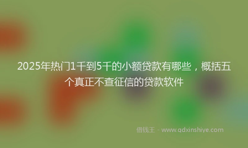 2025年热门1千到5千的小额贷款有哪些，概括五个真正不查征信的贷款软件