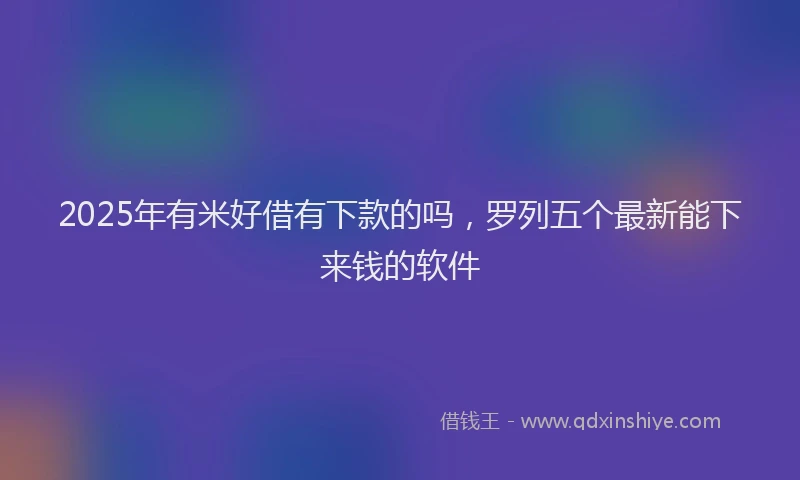 2025年有米好借有下款的吗，罗列五个最新能下来钱的软件