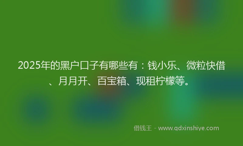 2025年的黑户口子有哪些有：钱小乐、微粒快借、月月开、百宝箱、现租柠檬等。