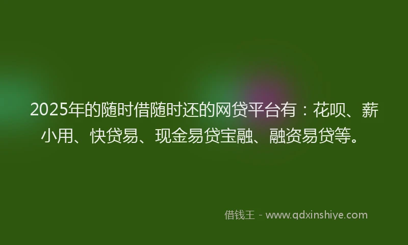 2025年的随时借随时还的网贷平台有：花呗、薪小用、快贷易、现金易贷宝融、融资易贷等。