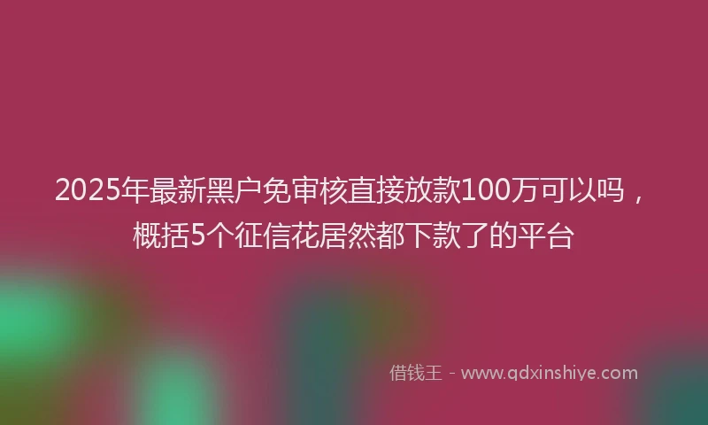 2025年最新黑户免审核直接放款100万可以吗，概括5个征信花居然都下款了的平台
