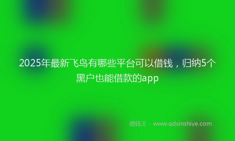 2025年最新飞鸟有哪些平台可以借钱，归纳5个黑户也能借款的app