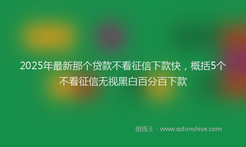 2025年最新那个贷款不看征信下款快，概括5个不看征信无视黑白百分百下款