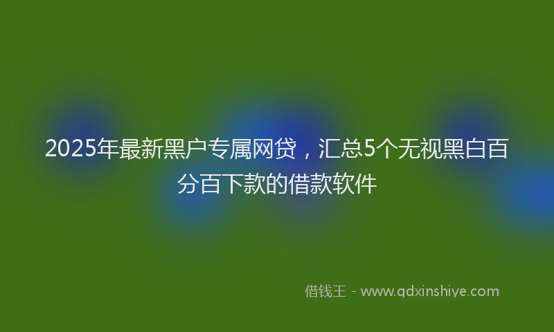 2025年最新黑户专属网贷，汇总5个无视黑白百分百下款的借款软件