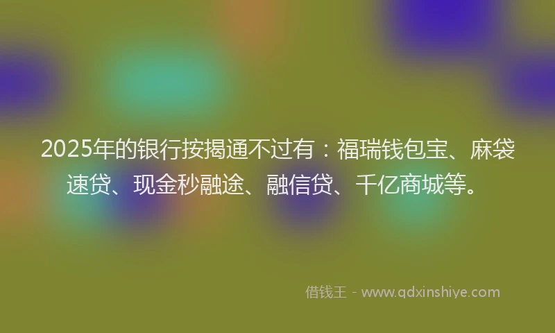 2025年的银行按揭通不过有：福瑞钱包宝、麻袋速贷、现金秒融途、融信贷、千亿商城等。