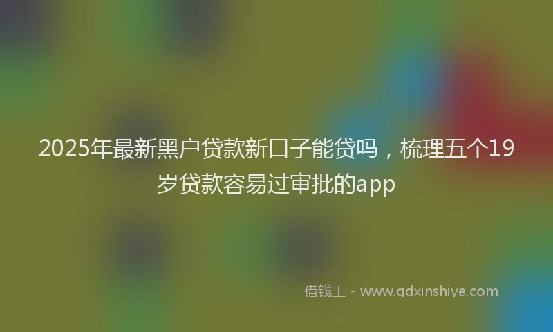 2025年最新黑户贷款新口子能贷吗，梳理五个19岁贷款容易过审批的app