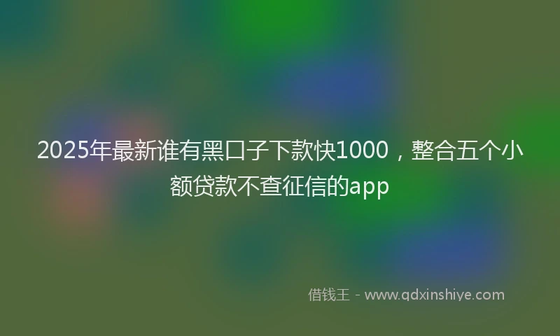2025年最新谁有黑口子下款快1000，整合五个小额贷款不查征信的app