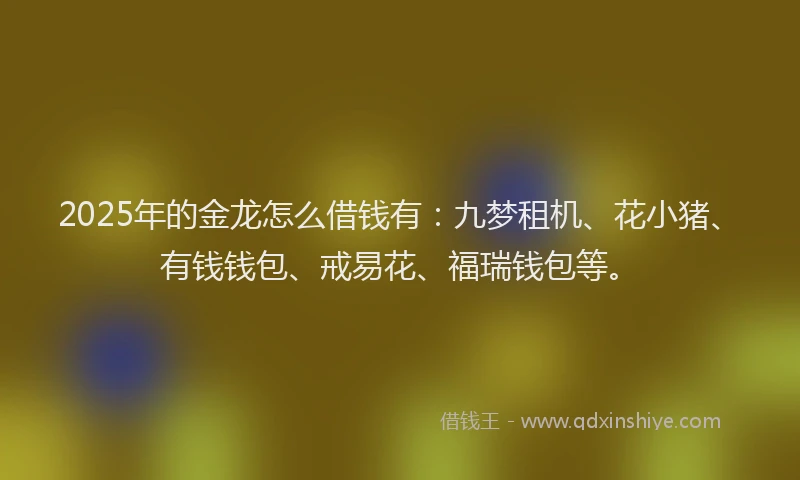 2025年的金龙怎么借钱有：九梦租机、花小猪、有钱钱包、戒易花、福瑞钱包等。