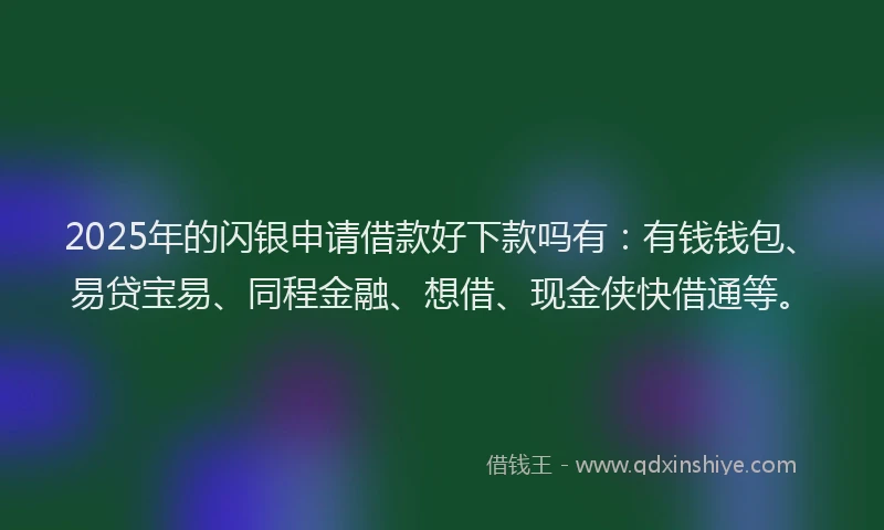 2025年的闪银申请借款好下款吗有：有钱钱包、易贷宝易、同程金融、想借、现金侠快借通等。