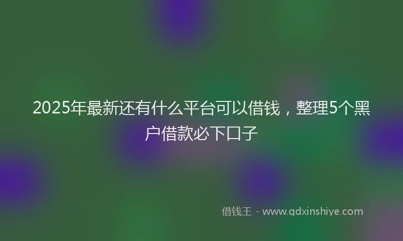 2025年最新还有什么平台可以借钱，整理5个黑户借款必下口子