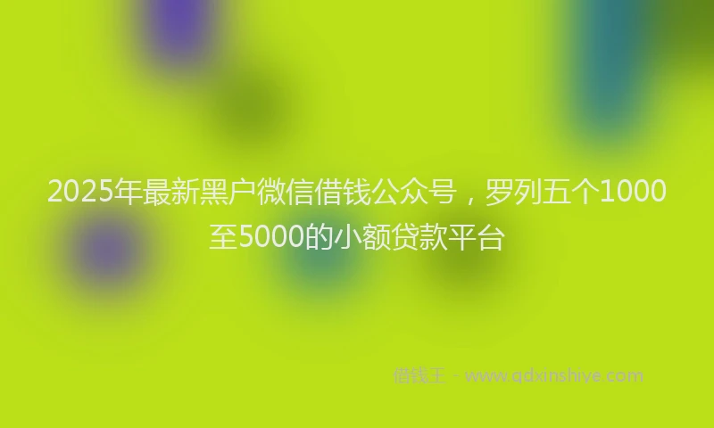 2025年最新黑户微信借钱公众号，罗列五个1000至5000的小额贷款平台
