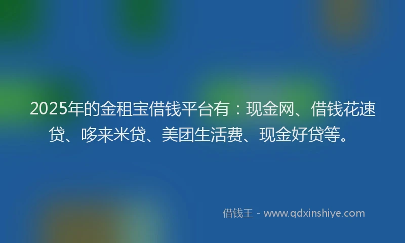 2025年的金租宝借钱平台有：现金网、借钱花速贷、哆来米贷、美团生活费、现金好贷等。