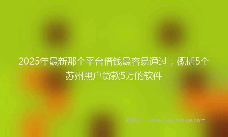 2025年最新那个平台借钱最容易通过，概括5个苏州黑户贷款5万的软件