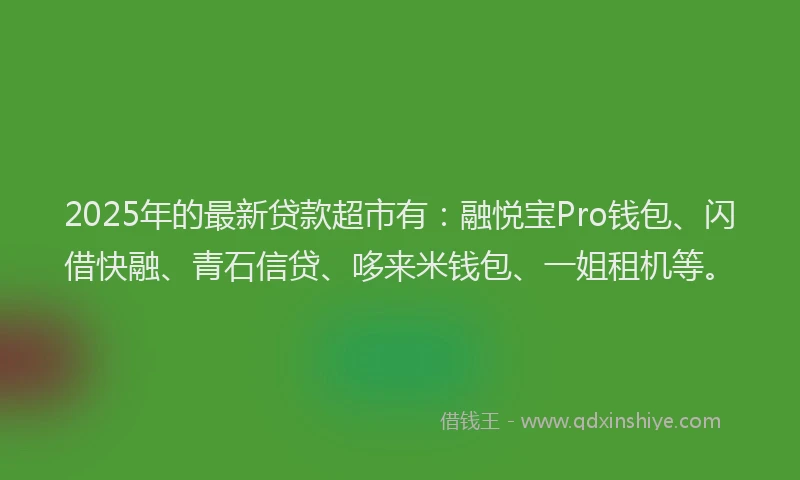 2025年的最新贷款超市有：融悦宝Pro钱包、闪借快融、青石信贷、哆来米钱包、一姐租机等。