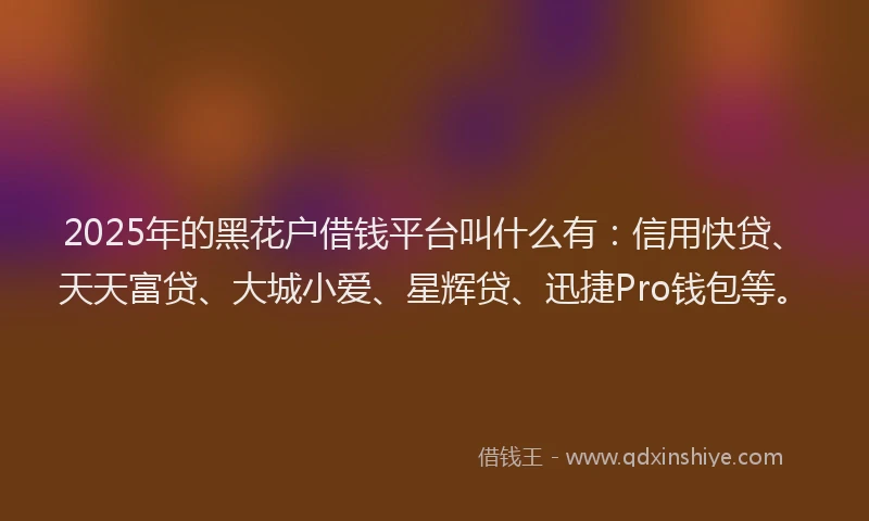 2025年的黑花户借钱平台叫什么有：信用快贷、天天富贷、大城小爱、星辉贷、迅捷Pro钱包等。