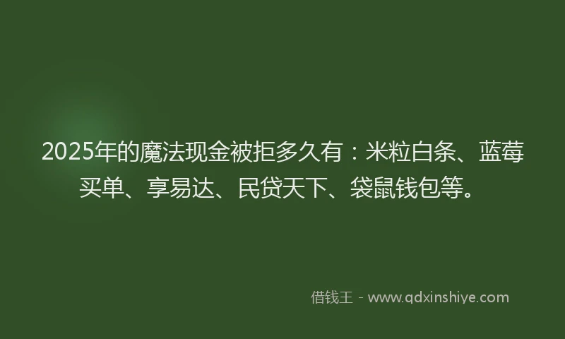 2025年的魔法现金被拒多久有：米粒白条、蓝莓买单、享易达、民贷天下、袋鼠钱包等。