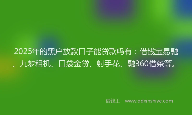 2025年的黑户放款口子能贷款吗有：借钱宝易融、九梦租机、口袋金贷、射手花、融360借条等。