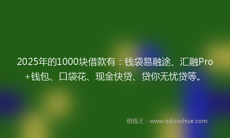 2025年的1000块借款有：钱袋易融途、汇融Pro+钱包、口袋花、现金快贷、贷你无忧贷等。