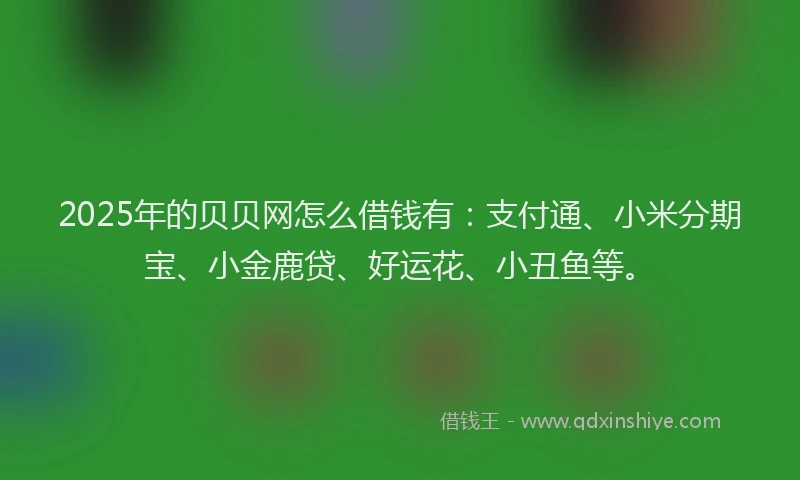 2025年的贝贝网怎么借钱有：支付通、小米分期宝、小金鹿贷、好运花、小丑鱼等。