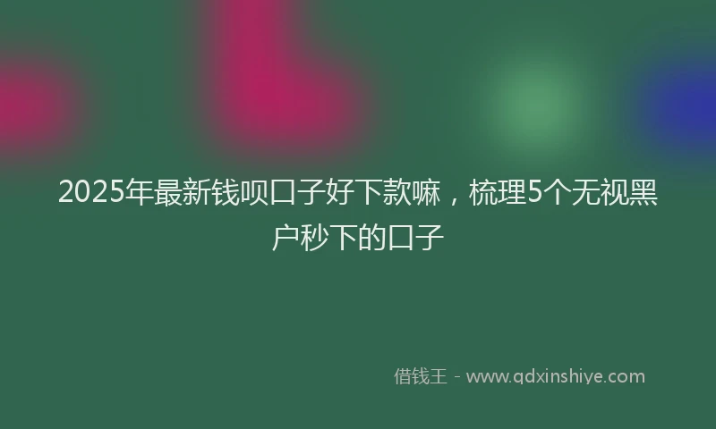2025年最新钱呗口子好下款嘛，梳理5个无视黑户秒下的口子