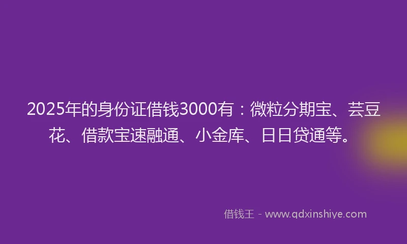 2025年的身份证借钱3000有：微粒分期宝、芸豆花、借款宝速融通、小金库、日日贷通等。