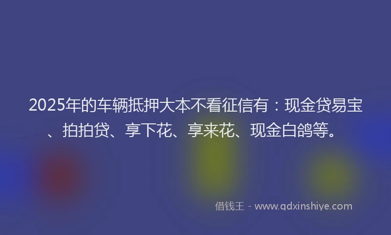 2025年的车辆抵押大本不看征信有:现金贷易宝、拍拍贷、享下花、享来花、现金白鸽等。