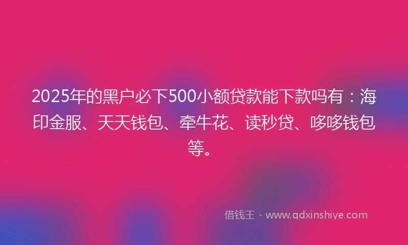 2025年的黑户必下500小额贷款能下款吗有：海印金服、天天钱包、牵牛花、读秒贷、哆哆钱包等。