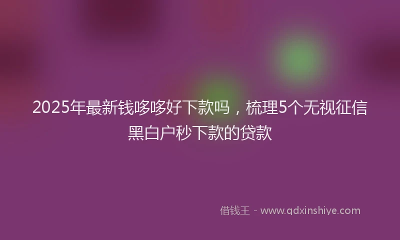 2025年最新钱哆哆好下款吗，梳理5个无视征信黑白户秒下款的贷款