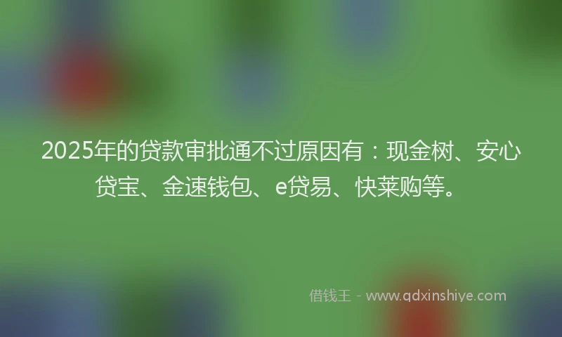 2025年的贷款审批通不过原因有：现金树、安心贷宝、金速钱包、e贷易、快莱购等。