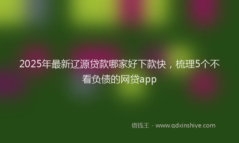 2025年最新辽源贷款哪家好下款快，梳理5个不看负债的网贷app