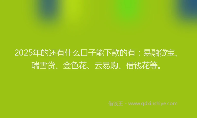 2025年的还有什么口子能下款的有：易融贷宝、瑞雪贷、金色花、云易购、借钱花等。