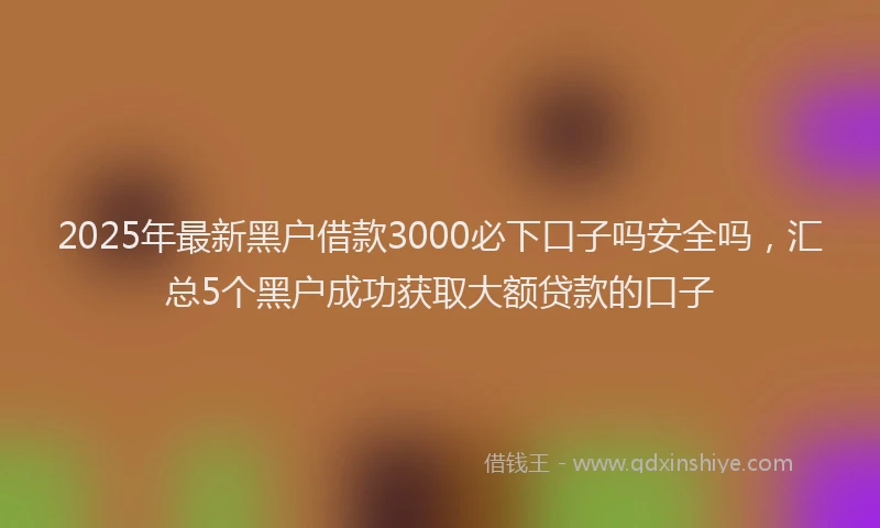 2025年最新黑户借款3000必下口子吗安全吗，汇总5个黑户成功获取大额贷款的口子