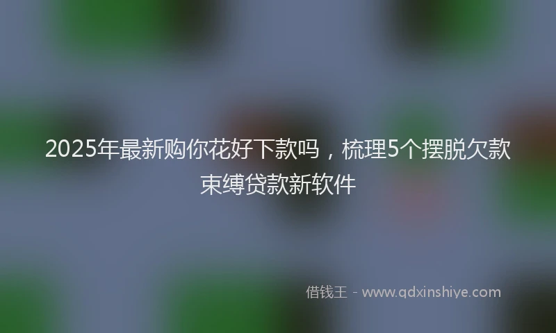 2025年最新购你花好下款吗，梳理5个摆脱欠款束缚贷款新软件