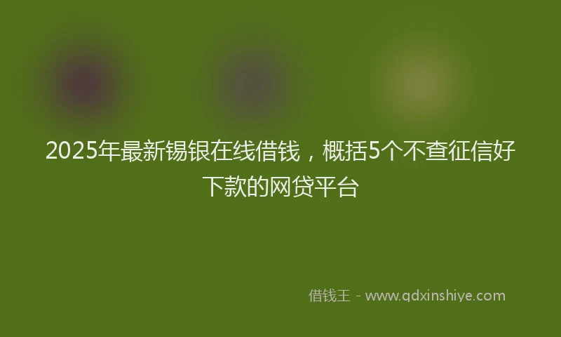 2025年最新锡银在线借钱，概括5个不查征信好下款的网贷平台